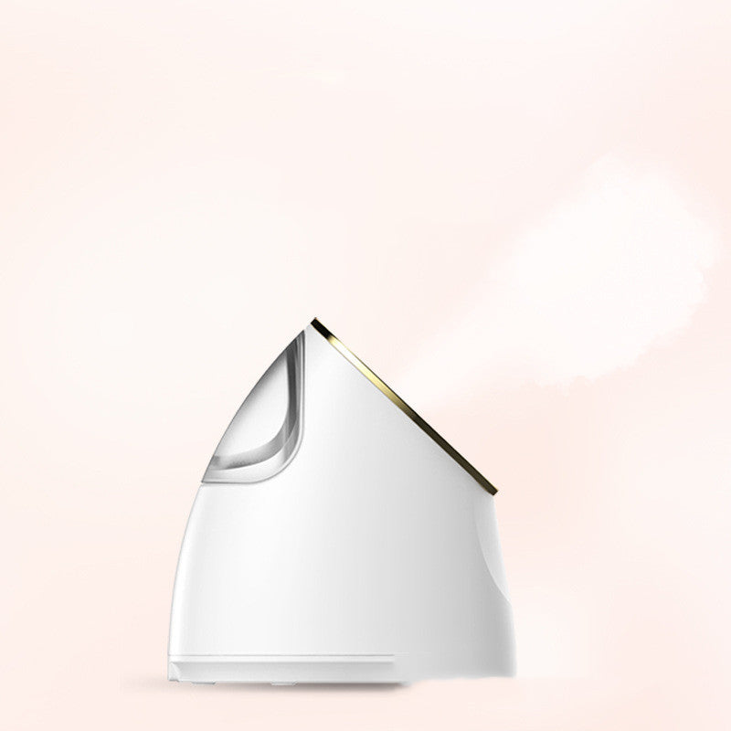 Beauty Steaming Face Sprayer UV Facial Steamer