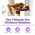 Purrfect Cat Calming Diffuser Kit with 2 Refills