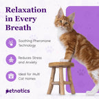 Purrfect Cat Calming Diffuser Kit with 2 Refills